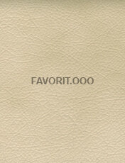 CP MONACO 2566