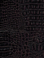 NW CROCOSHINE 3407