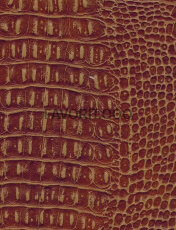 NW CROCOSHINE 3819