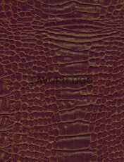 NW CROCOSHINE 3821